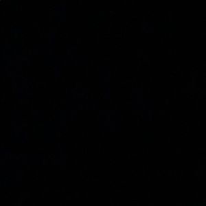 Meet your Posher, Brandi